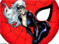 Black Cat 001