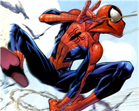 Spiderman 005