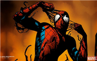 Spiderman 006